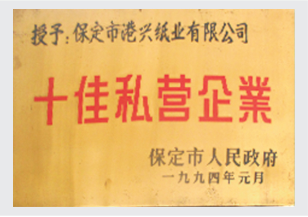 1994十佳私营企业